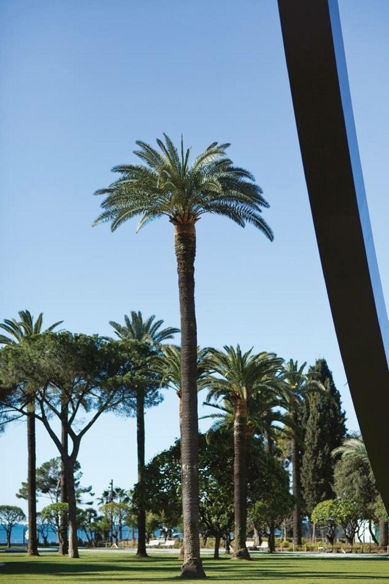 Splendide, Refait A Neuf, Climatise, A 1mn- 